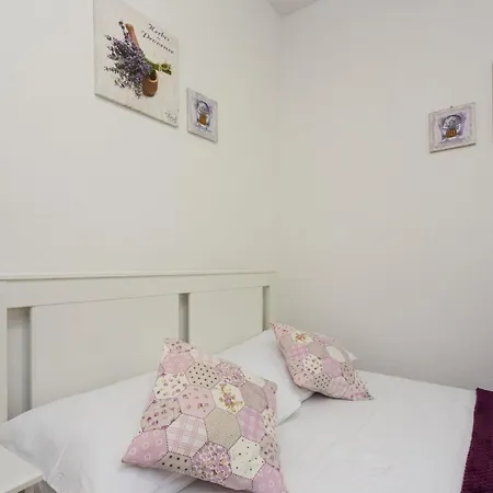 Robinson Delphinus *