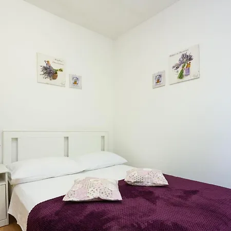 Robinson Delphinus * Gdinj