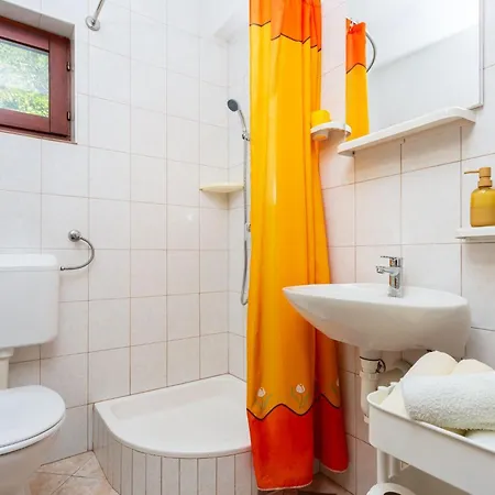 Robinson Delphinus *