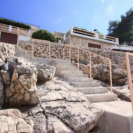 Robinson Delphinus *