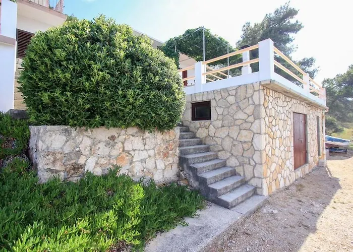 Robinson Delphinus Gdinj