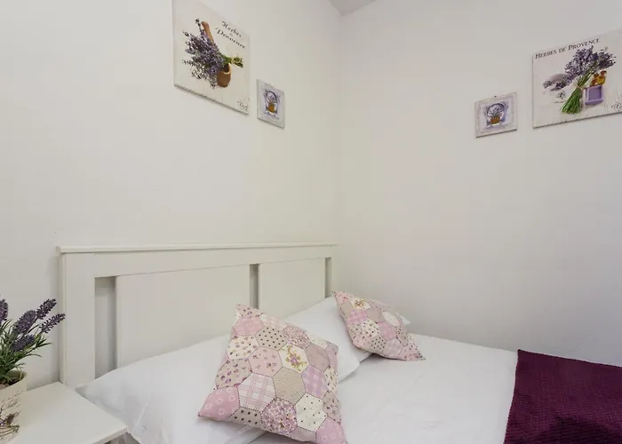 Robinson Delphinus *