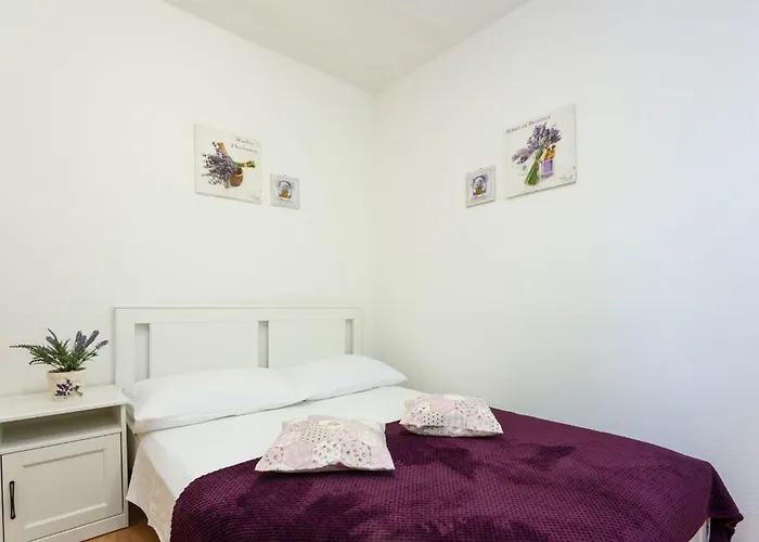 Robinson Delphinus * Gdinj