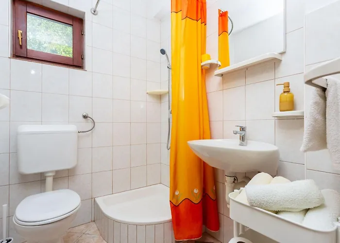 Robinson Delphinus *