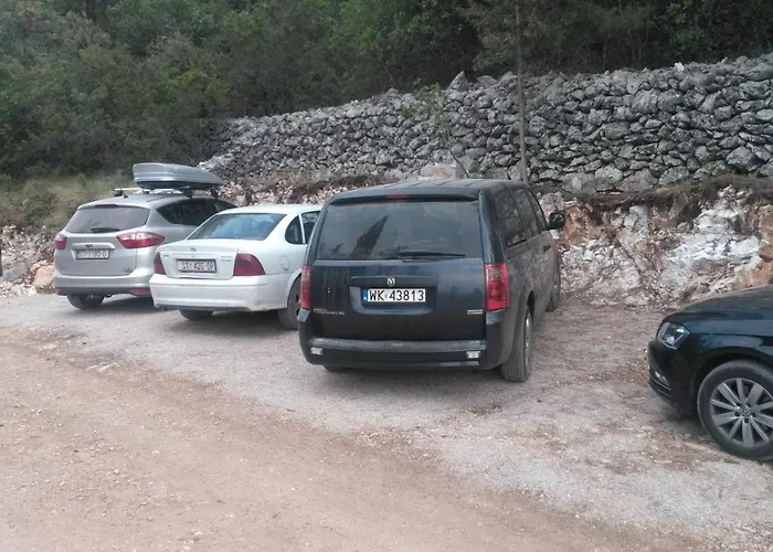 Robinson Delphinus *